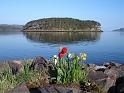 29- shieldaig